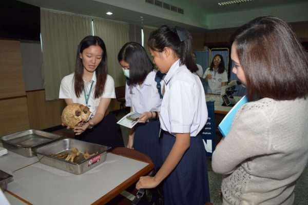 siam_exhibition_part1_011